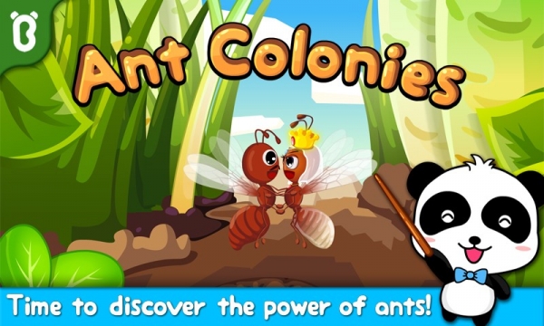宝宝认蚂蚁截图