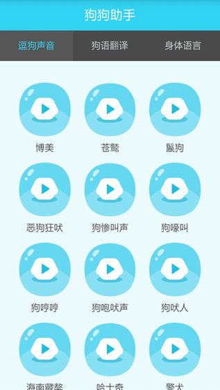 狗狗助手截图