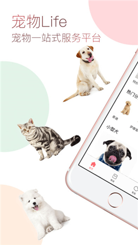 宠物Life截图