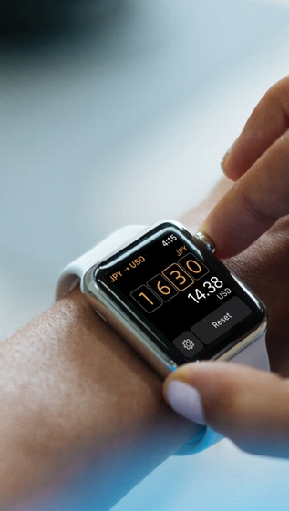 Elk旅行货币转换器截图