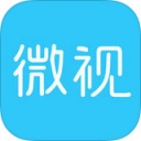 东电微视
