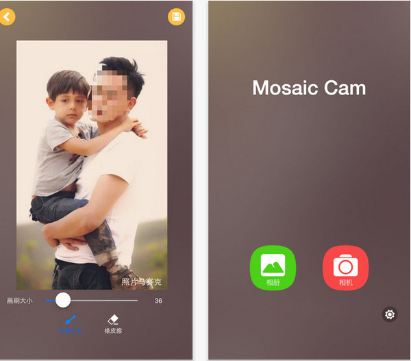 照片马赛克截图