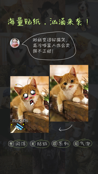萌宠相机最新版截图