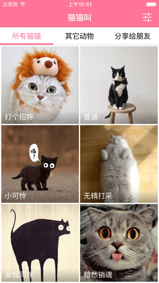 猫猫叫截图