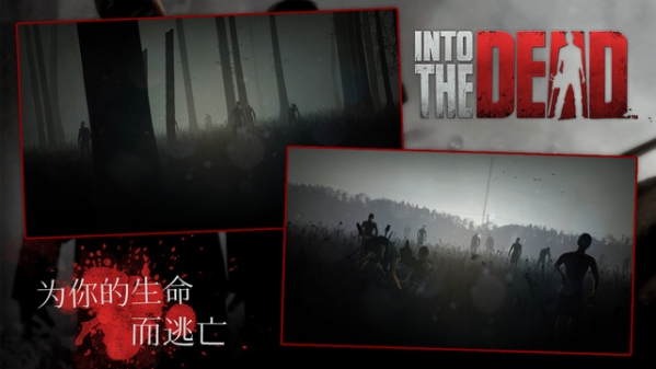 勇闯死人谷截图
