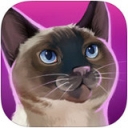 猫咪宾馆手游