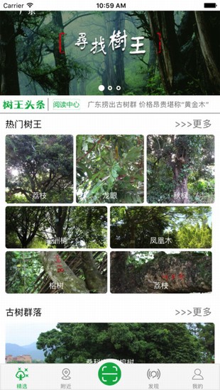 广东古树名木截图