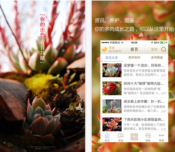 多肉大本营截图