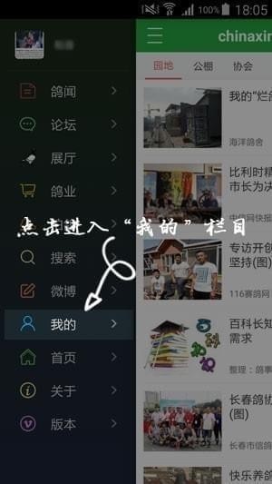 中国信鸽信息网截图
