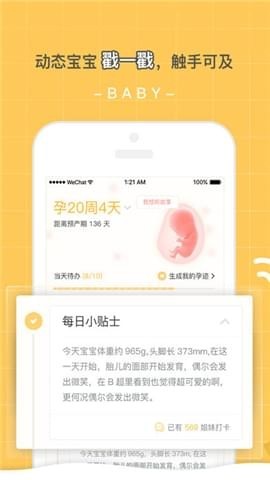 孕迹暖暖截图