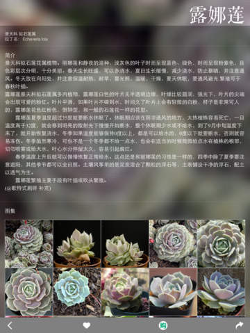 多肉植物截图