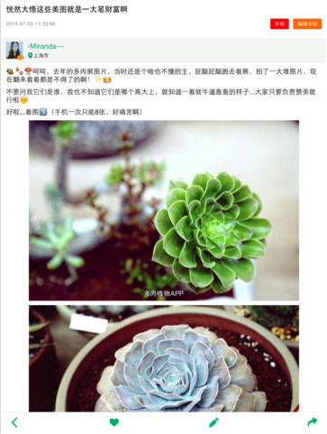 多肉植物截图