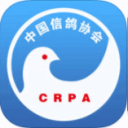 中国信鸽协会