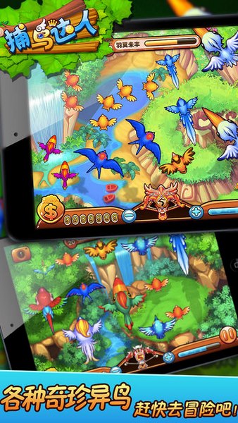 捕鸟达人2017截图