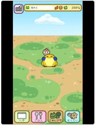 青蛙every day截图