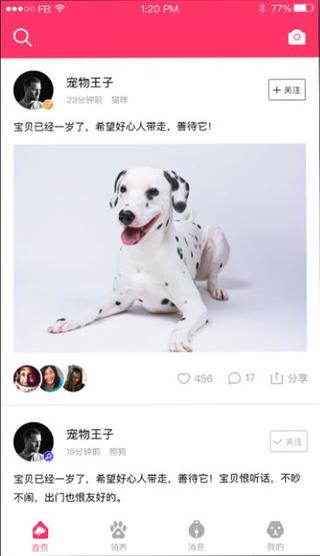 养养宠物IOS截图