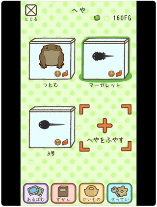 青蛙every day截图