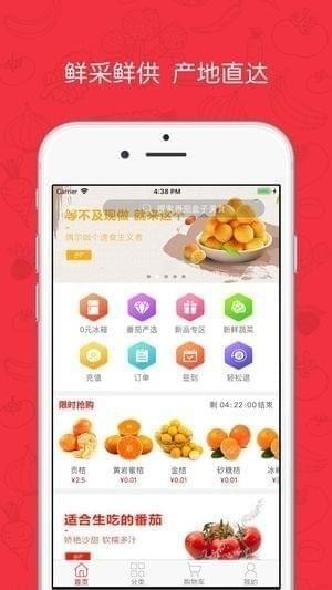 番茄盒子手机版截图