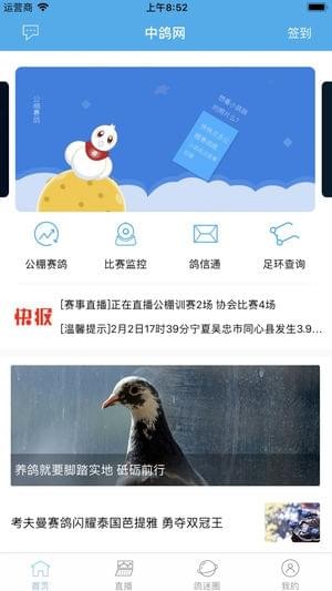 中鸽网截图