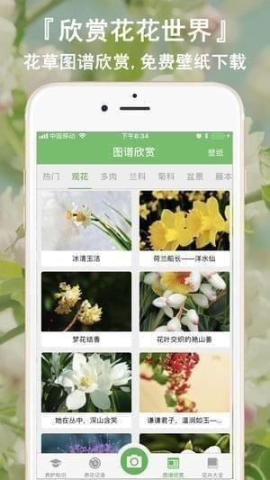 花卉识别截图