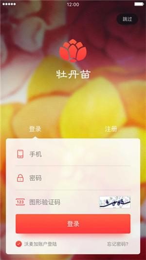 国商通牡丹苗截图