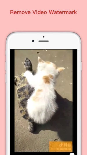 全能去水印截图